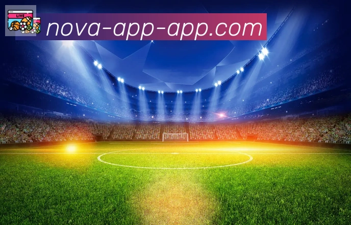 易胜博app体育荣誉